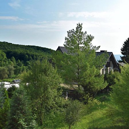 Lovely Holiday Home In The Thuringian Forest With Roof Terrace And Great View Bad Liebenstein Exterior photo