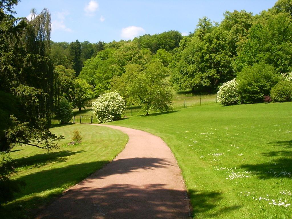 Lovely Holiday Home In The Thuringian Forest With Roof Terrace And Great View Bad Liebenstein Exterior photo