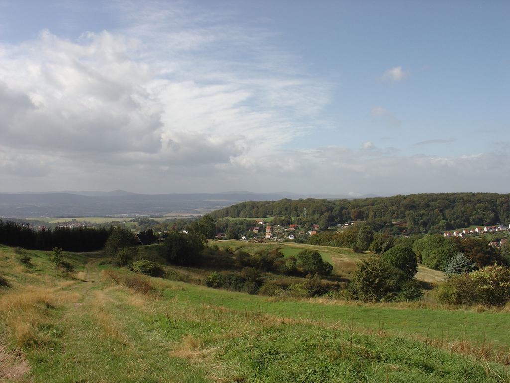 Lovely Holiday Home In The Thuringian Forest With Roof Terrace And Great View Bad Liebenstein Exterior photo